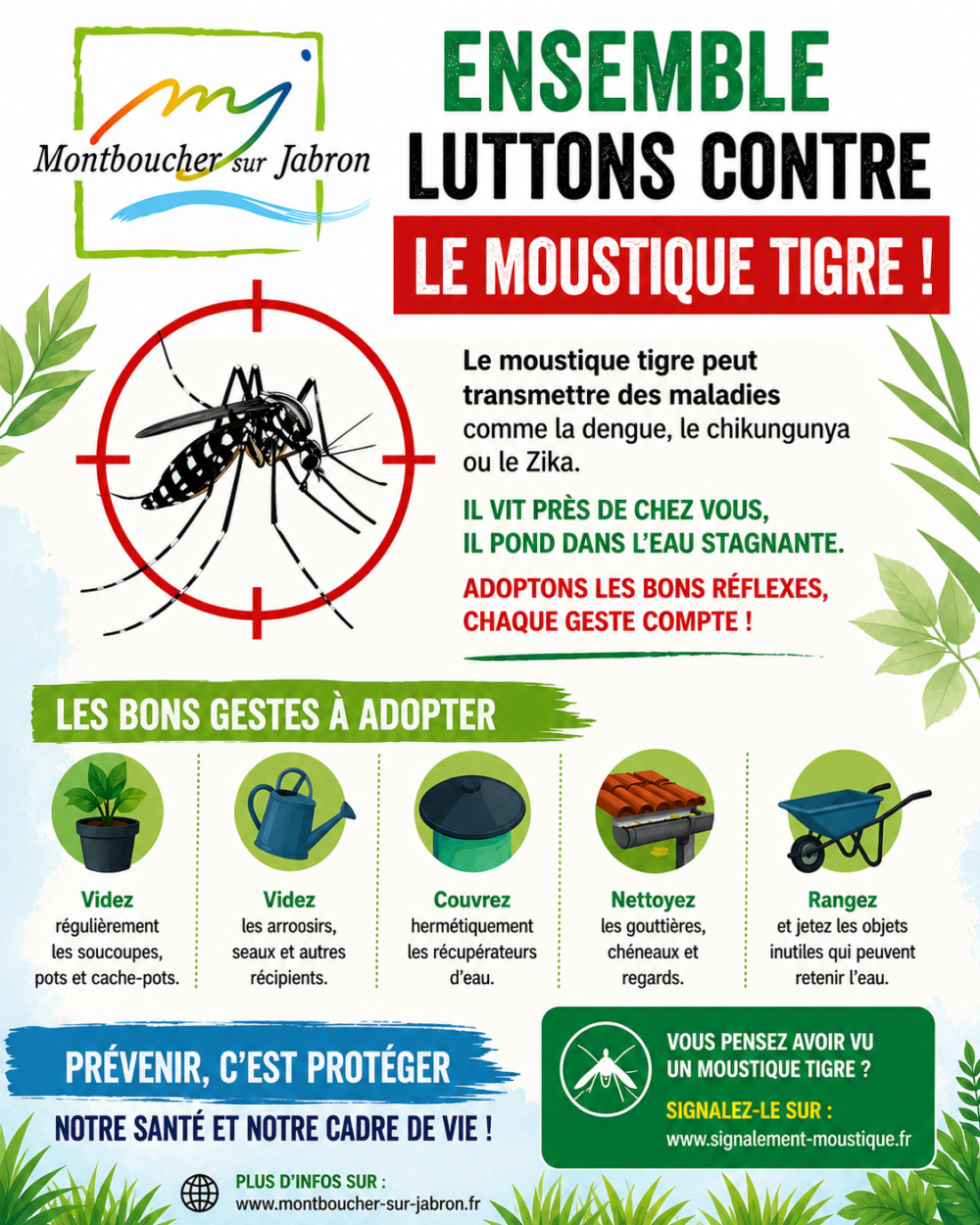 Stop au moustique tigre !