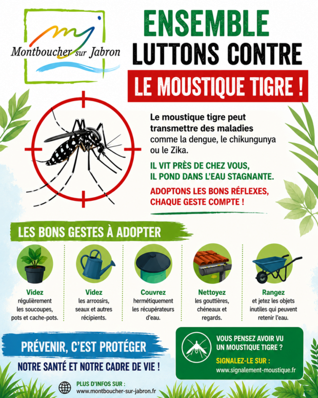 Stop au moustique tigre !