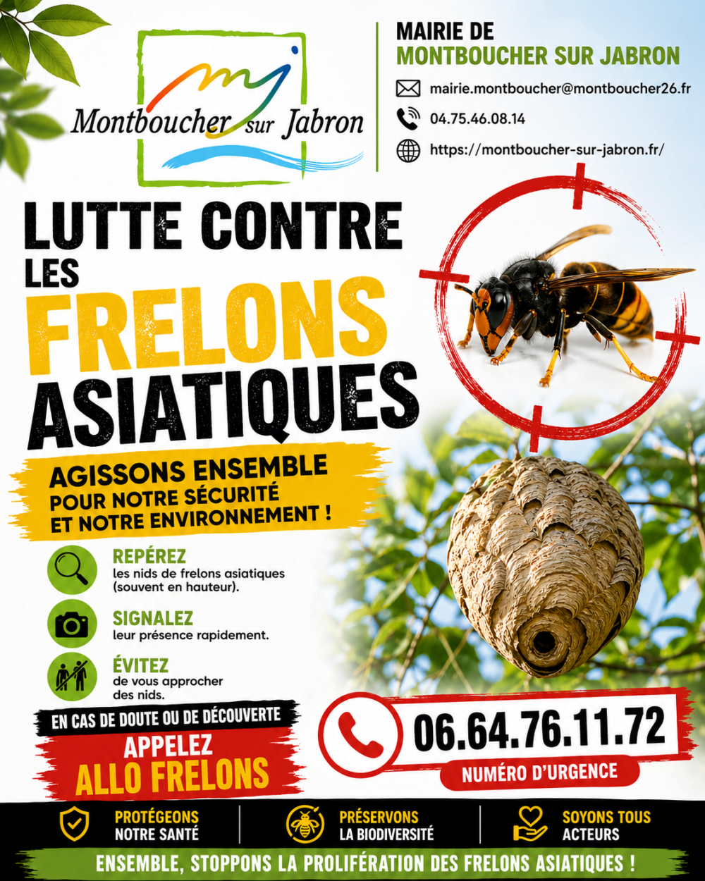Lutte contre les frelons asiatiques