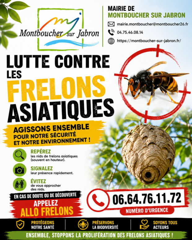 Lutte contre les frelons asiatiques