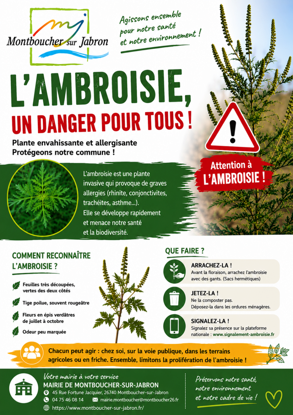 Alerte Ambroisie