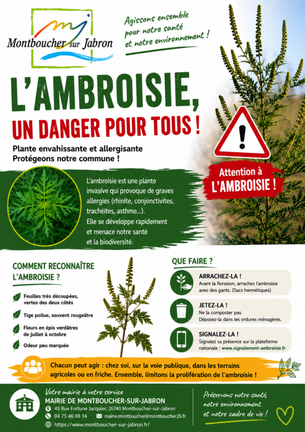 Alerte Ambroisie