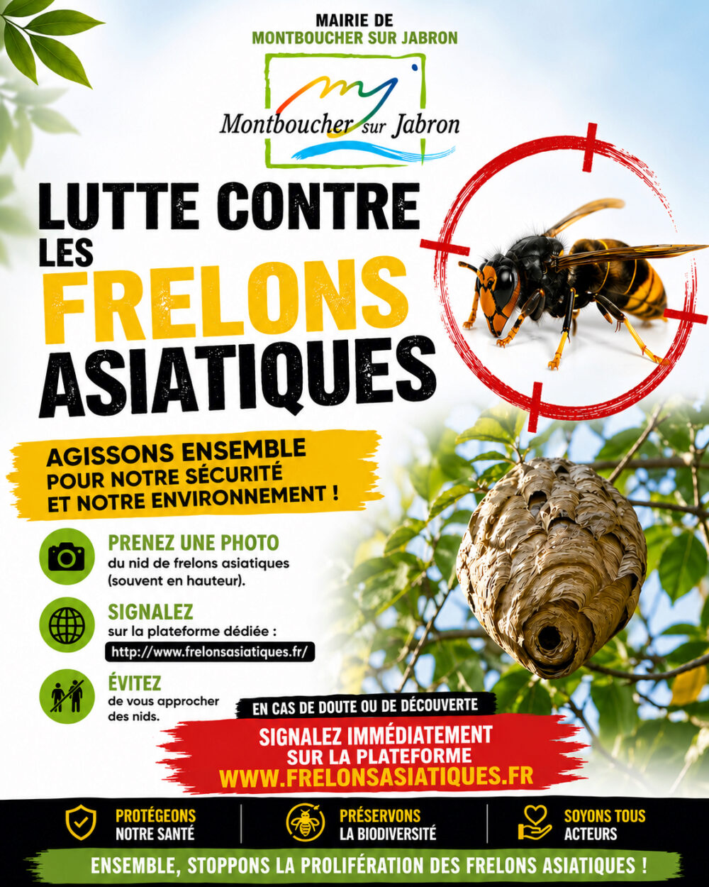 Lutte contre les frelons asiatiques
