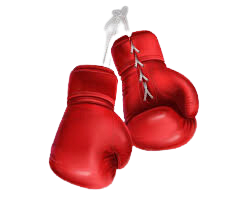 Activités Sportives Loisir d’Opposition (A.S.L.O.)