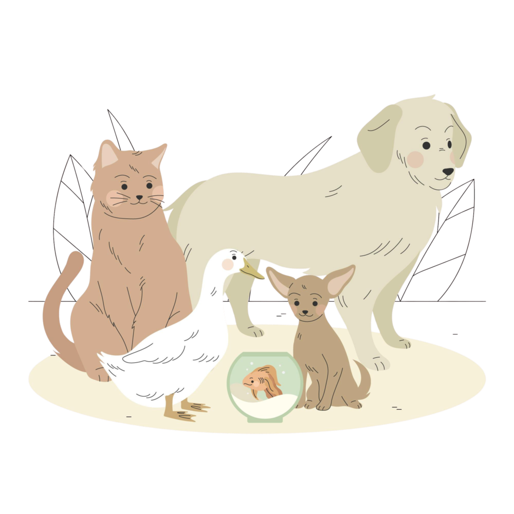 Animaux