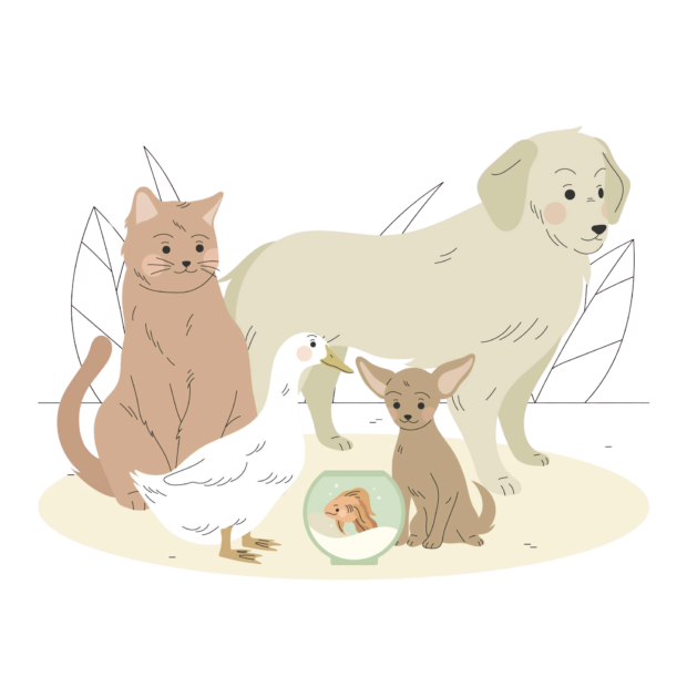 Animaux